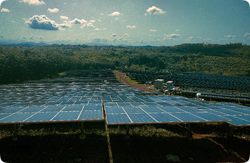 Every company will use blockchain by 2027